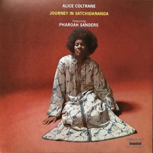 Journey In Satchidananda