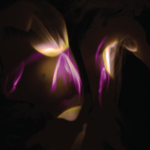 Before the Last Light Is Blown (Copper Vinyl)