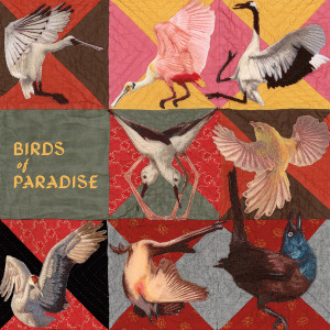 Birds of Paradise (Pink Vinyl)
