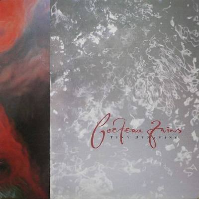 Tiny Dynamine / Echoes In A Shallow Bay