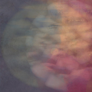 Cryptophasia (Orange Vinyl)