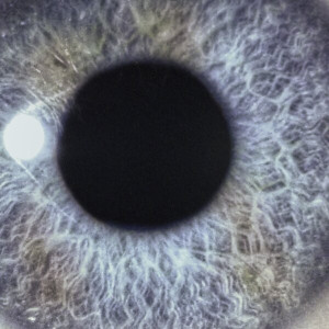 Moontower (Blue Vinyl)