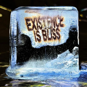 Existence is Bliss (Sparkle Vinyl)