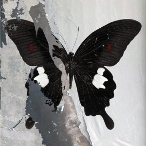 Paradise Now (Splatter Vinyl)