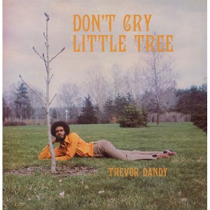 Don't Cry Little Tree