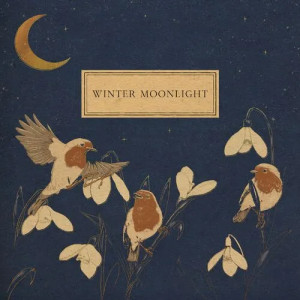 Winter Moonlight / Orange Marmalade