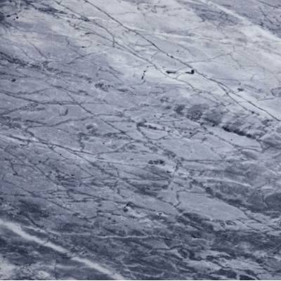 Carrara (White/Grey Vinyl)