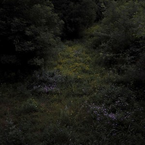 Higher Lonely Power (Colored Vinyl)