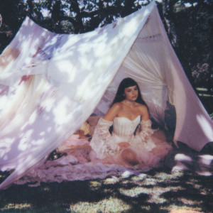 Maravilhosamente Bem