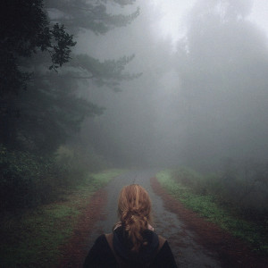 Under the Pipal Tree (Forest Night Vinyl)