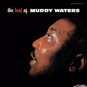 The Best of Muddy Waters (Clear Vinyl)