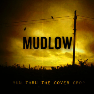 Run Thru The Cover Crop