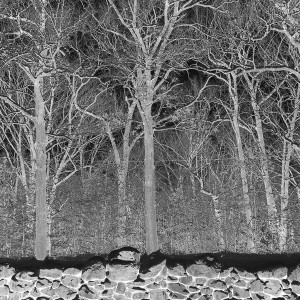 Sunshine And Balance Beams (Clear Vinyl)