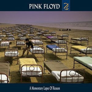 A Momentary Lapse of Reason
