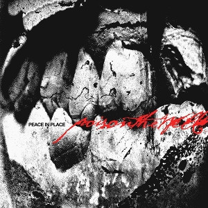 Peace In Place (Clear Vinyl)