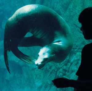 Eienno Uta + Adrenaline Drive