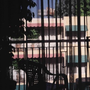 Dark Light (Clear Vinyl)