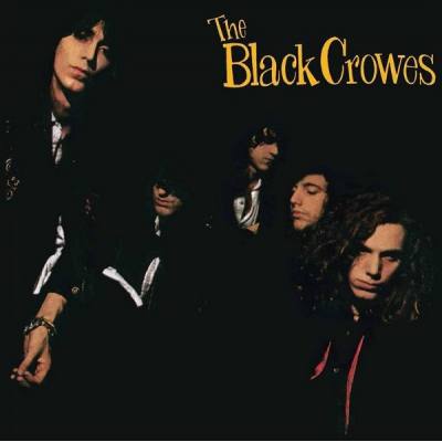 Shake Your Money Maker