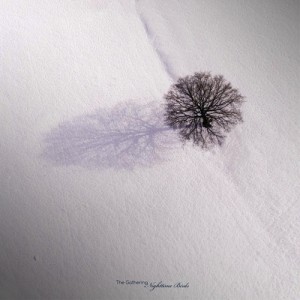 Nighttime Birds (Colored Vinyl)