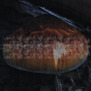 Wanting Less (Colored Vinyl)